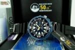 Torgoen T08304 Orion