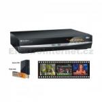 GoGen DXDP 262